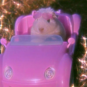 Meet your Posher, Madison